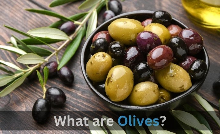 What is Olive