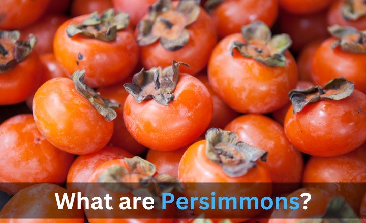 What are Persimmons