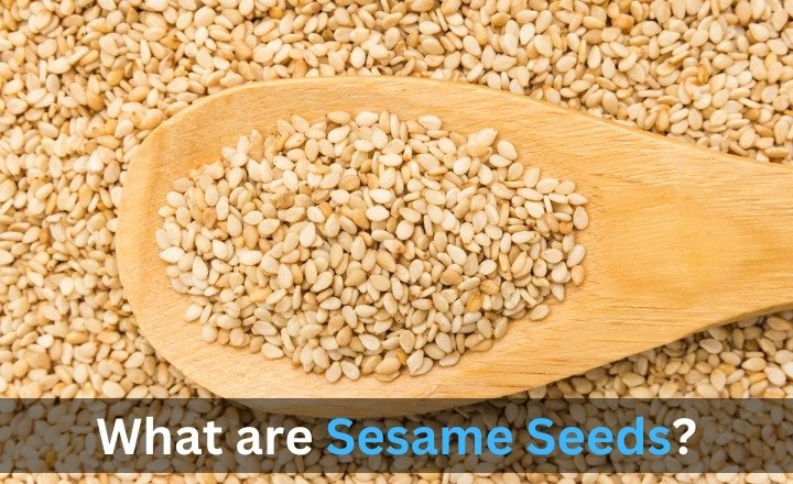 What are Sesame Seeds