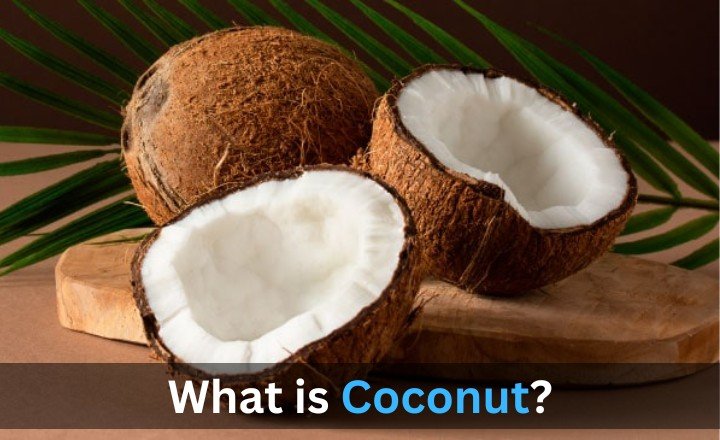 What is Coconut