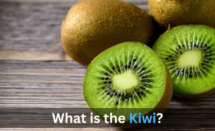 What is the Kiwi