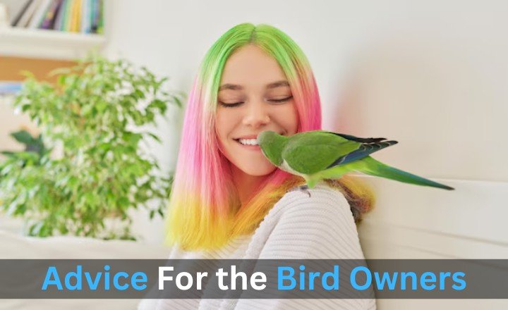 Advice For the Bird Owners