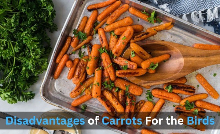 Disadvantages of Carrots For the Birds