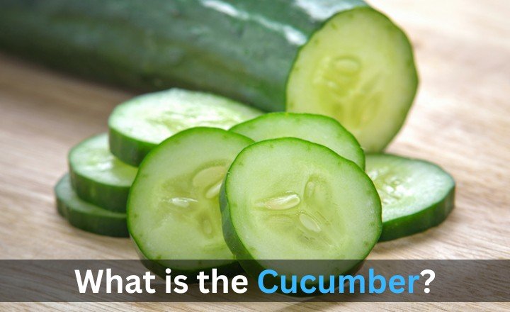 What is the Cucumber